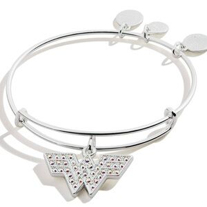 Alex and Ani Silver Bracelet with Multicolor Charm